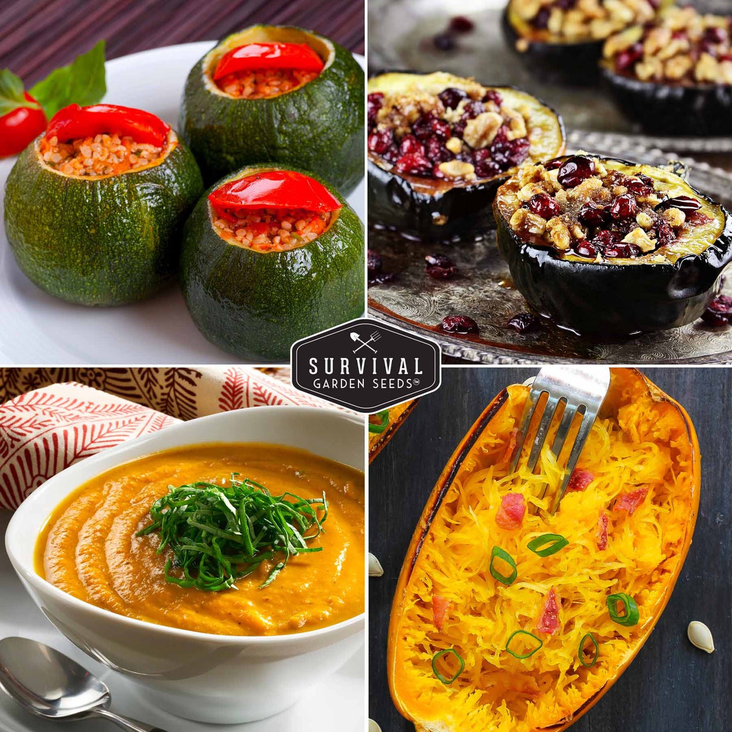 Squash Seed Collection - Winter & Summer Squash