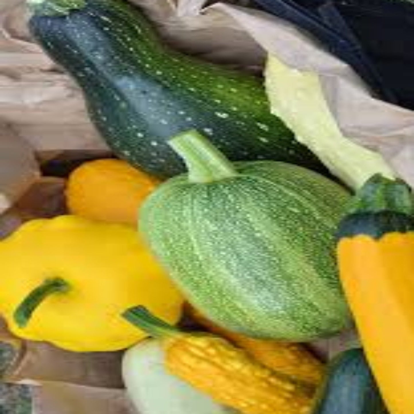 Summer Squash Variety Mix Seeds