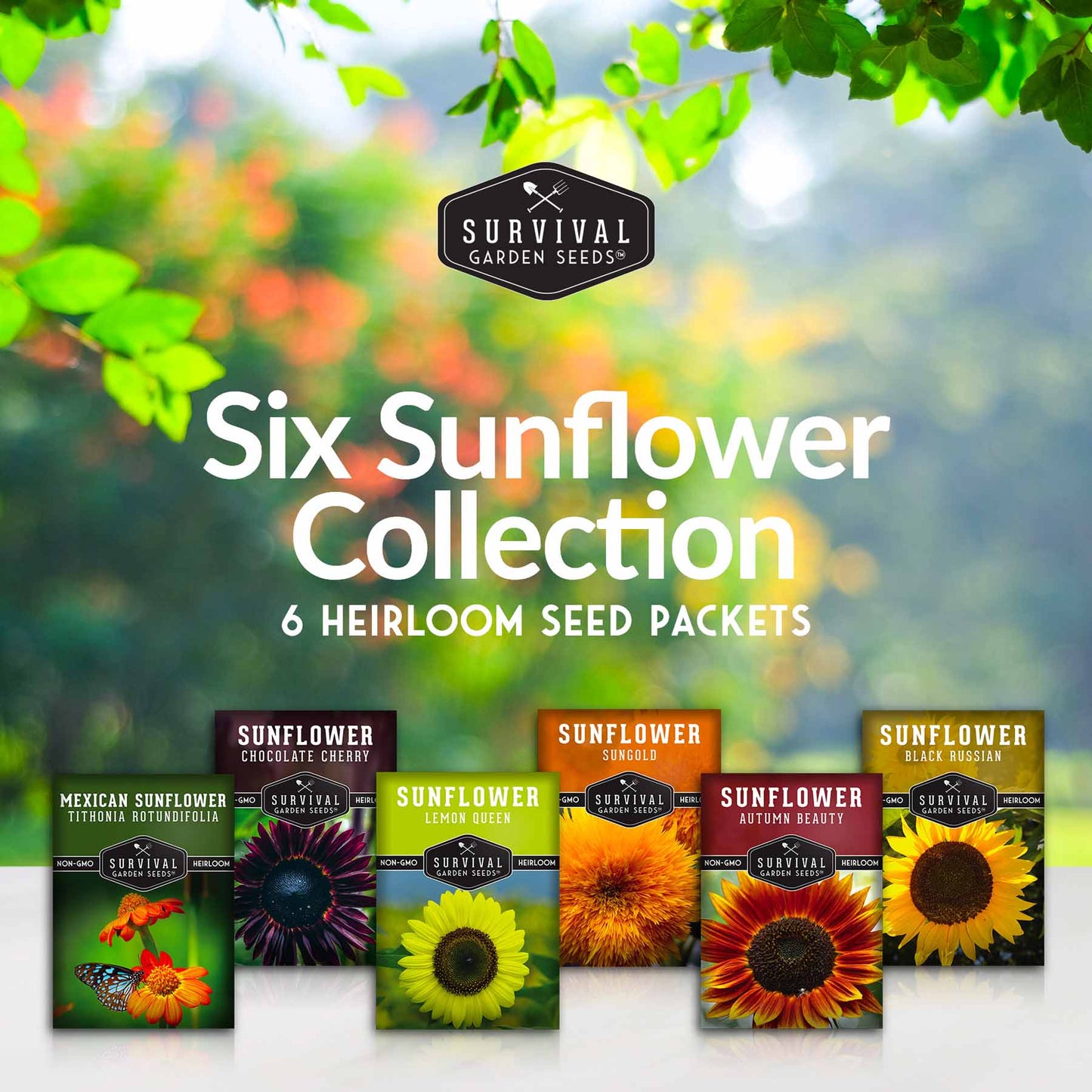 6 Sunflower Collection -  A Rainbow of Colorful Sunflowers