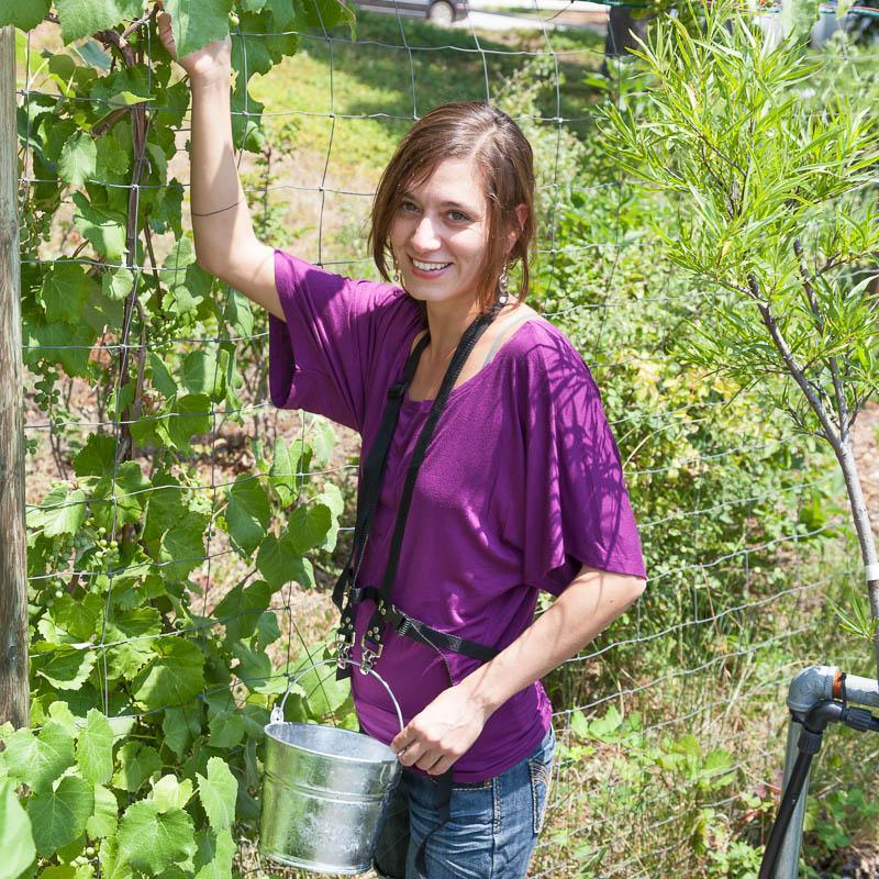 Zenport Blueberry Picking Harness - Thumbnail 5