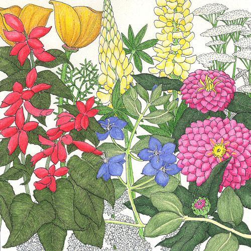 Deer Proof Garden Wildflower Mix (1/4 lb)