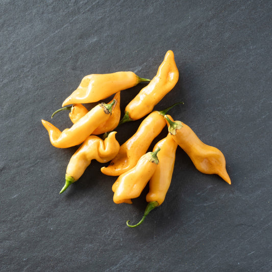 25 Aji SUGAR RUSH PEACH PEPPER Hot Sweet Fruity Capsicum Baccatum Vegetable Seeds