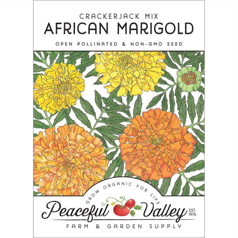 Marigold, African (pack)