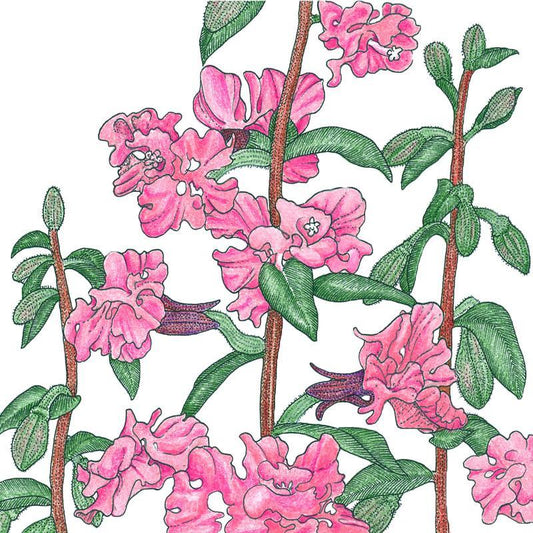 Mountain Garland (1/4 lb)