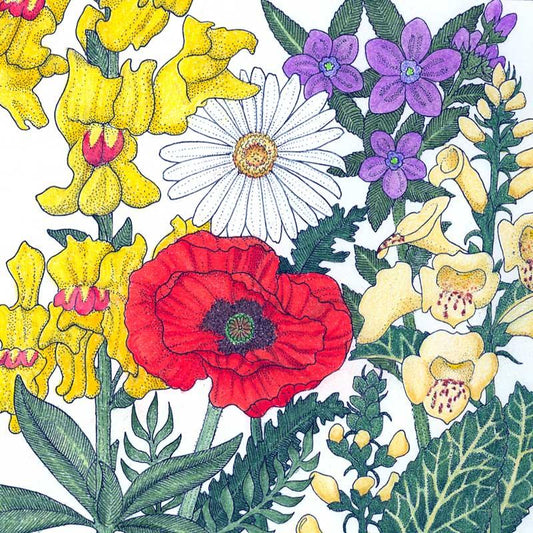 North American Shade Wildflower Mix (1/4 lb)