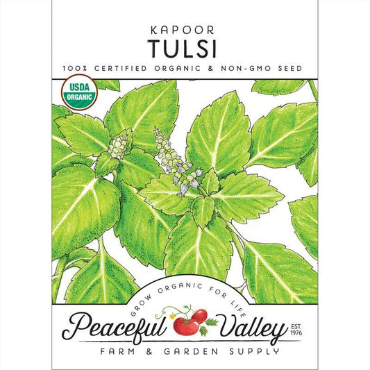 Kapoor Tulsi Seeds (Organic)