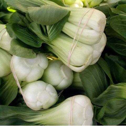 Pak Choi  Baby Shanghai Greens Seeds (Organic)