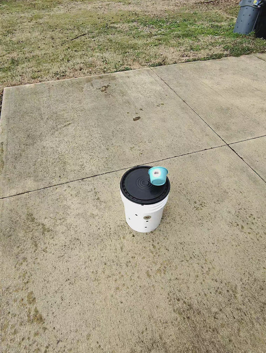 Worm Bin Vermi-Composting In-Ground | Easy Vermicomposting System | BUY COMPOSTING WORMS