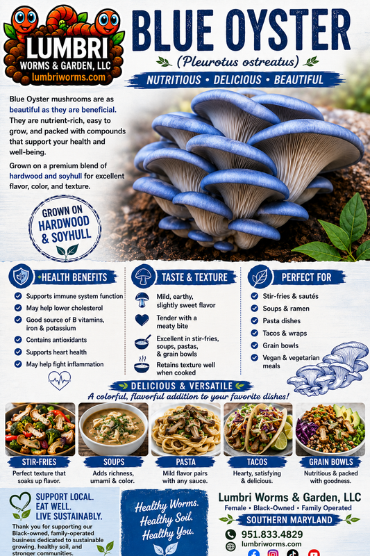 Blue Oyster Mushroom Grow Kit Fruiting Block - 5 LBS