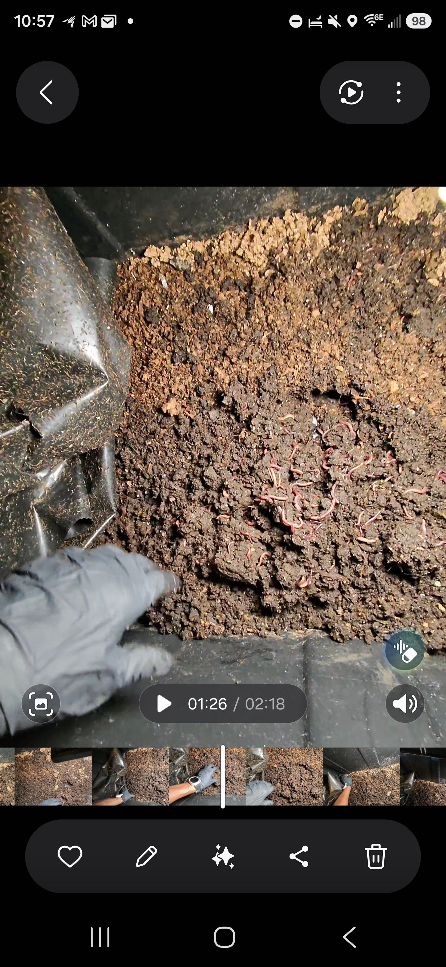Beginner's Guide to Vermicomposting | Digital eBook | Worm Composting Guide