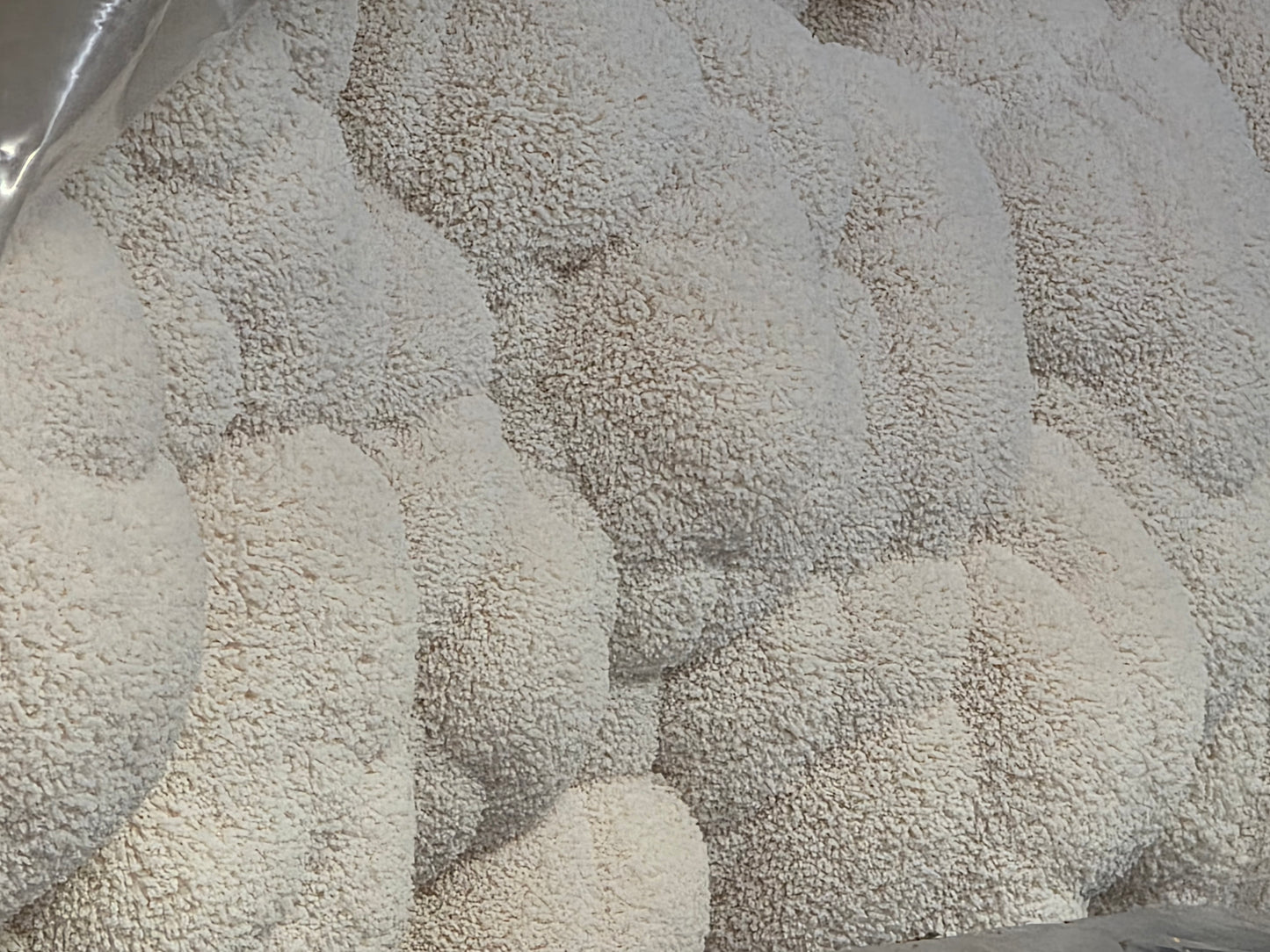🍄 Lion’s Mane Mushrooms Fresh – Gourmet, Local & Organic | Lumbri Worms & Garden LLC - LOCAL PICK UP ONLY