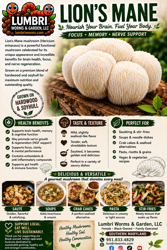 Lion's Mane Mushroom Grow Kit Fruiting Block - 5 LBS
