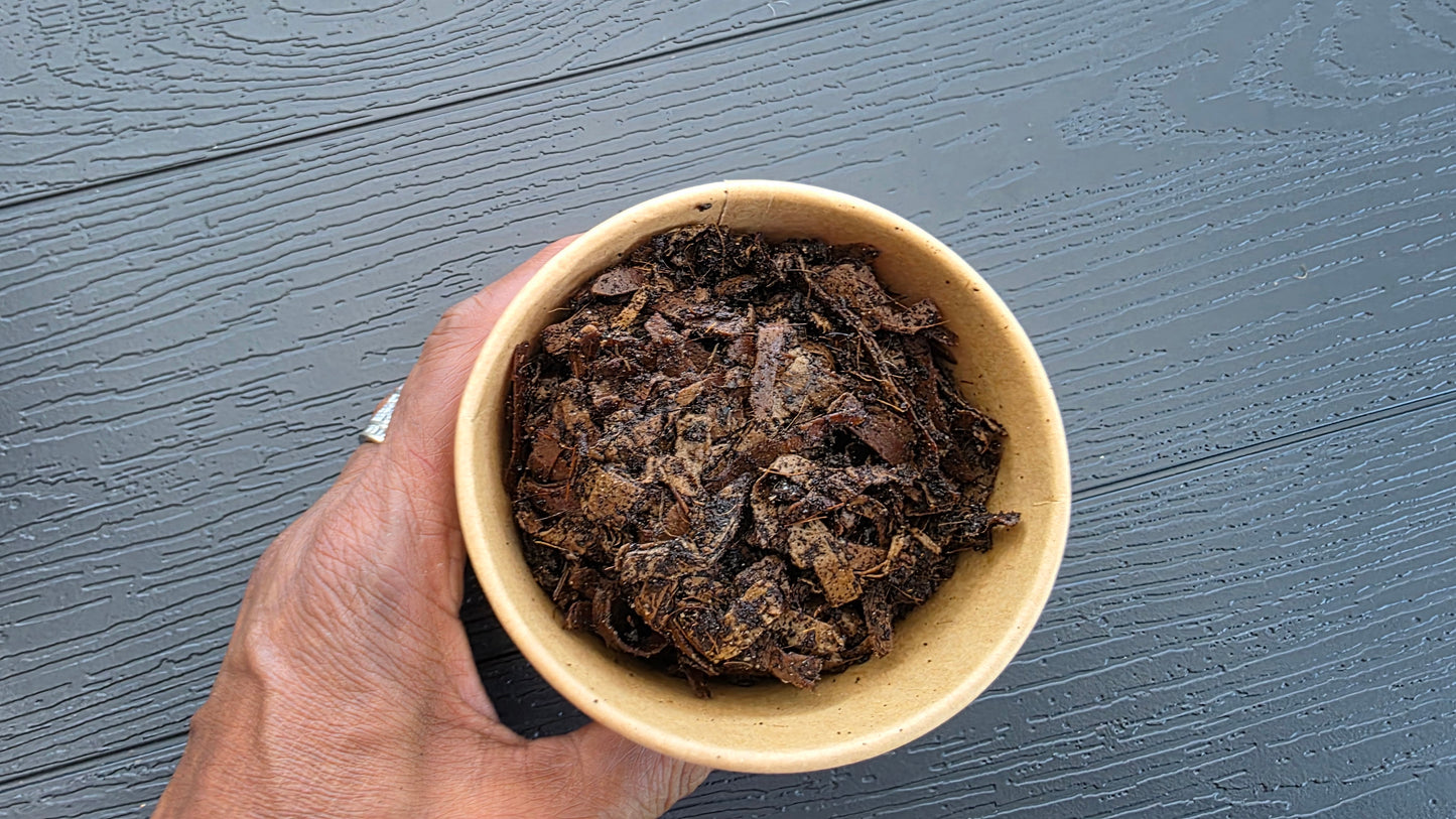 8 oz Worm Starter Colony | Red Wigglers or European Nightcrawlers | Live Composting Worms