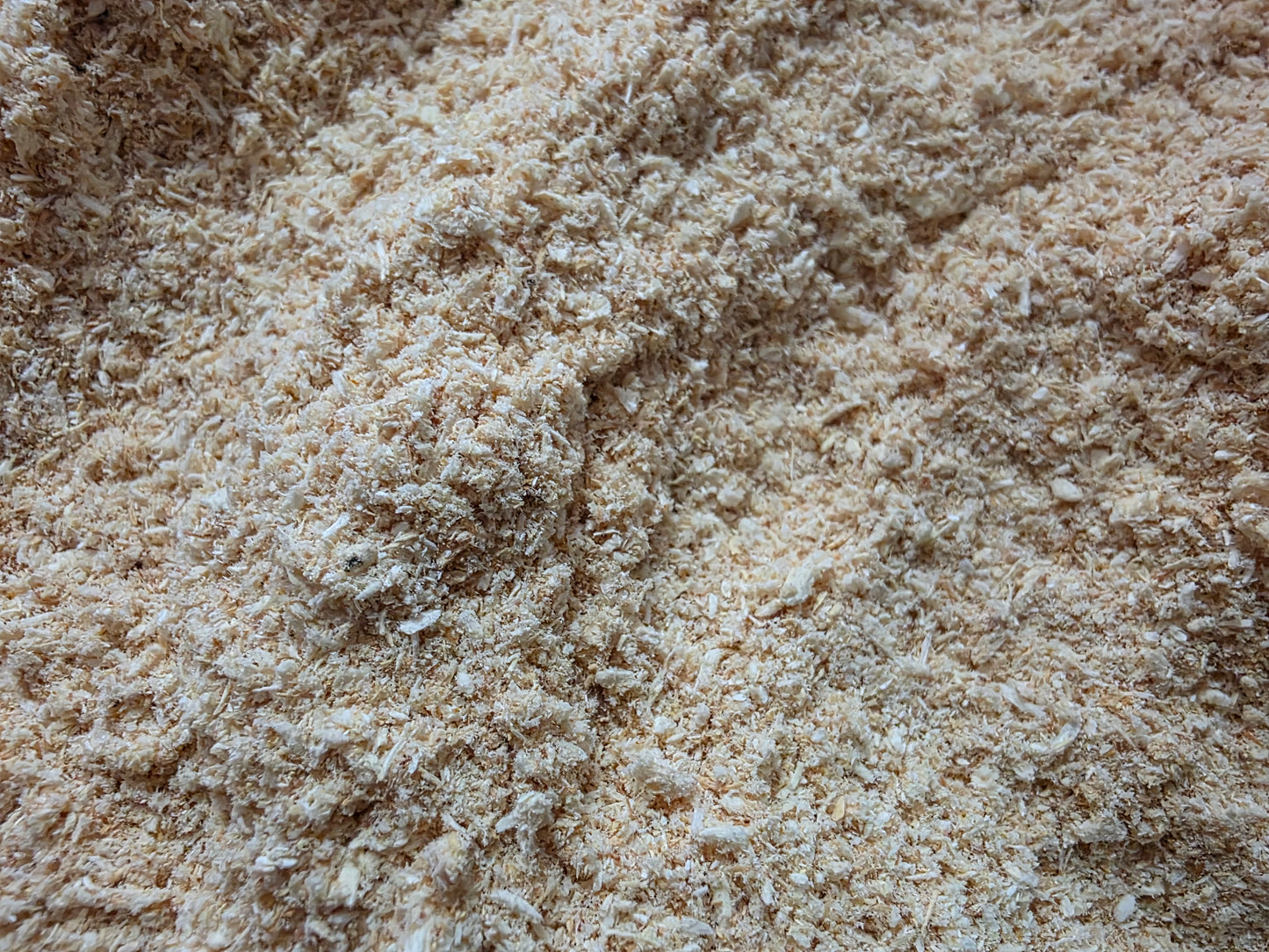 Lion’s Mane Mushroom Powder – Whole Fruiting Body

Our Lion’s Mane Mushroom Powder is made from 100% whole fruiting bodies, carefully dehydrated and finely milled to preserve natural compounds. Known for its role in brain, nerve, and cognitive support, Li