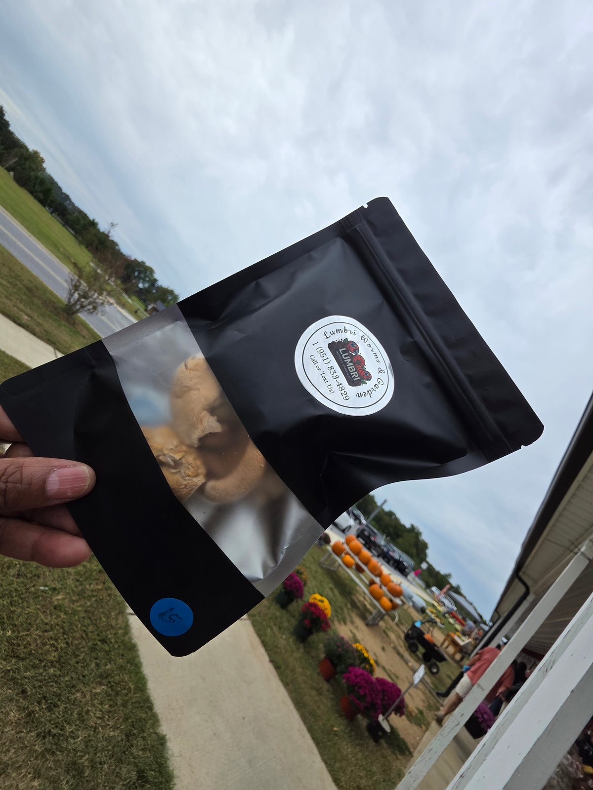 Dehydrated Pink Oyster Mushrooms | Farm-Grown Gourmet .5 oz / 14 g