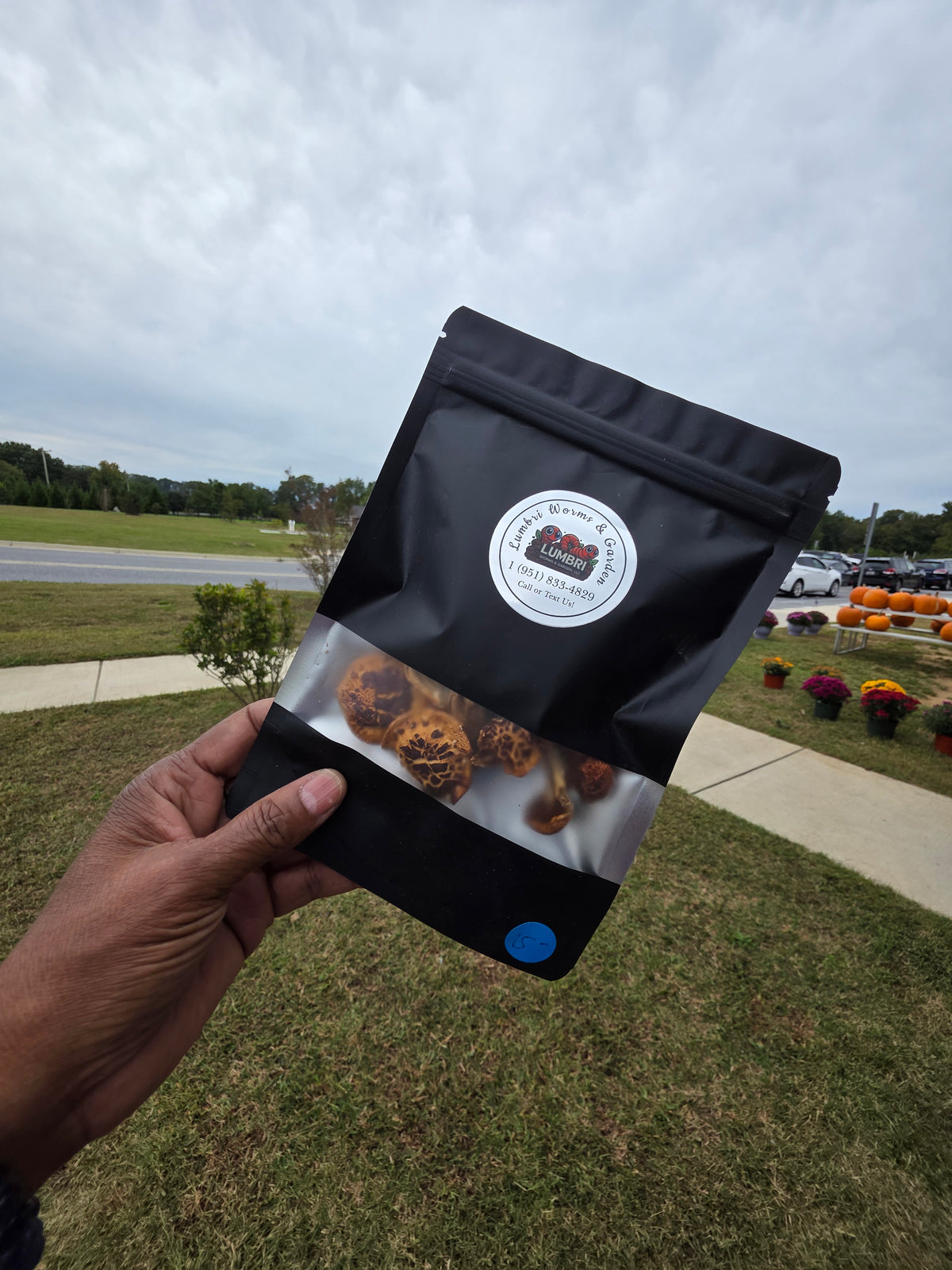 Dehydrated Chestnut Mushrooms