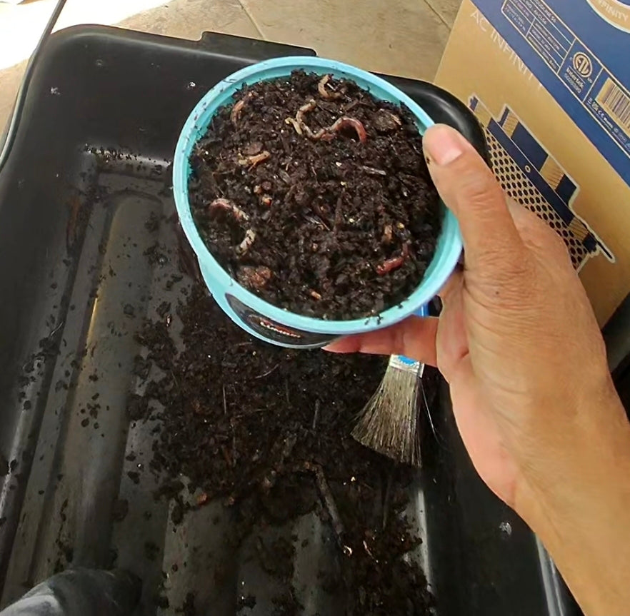 Worm Compost Bin In-Ground | Easy Vermicomposting System | BUY COMPOSTING WORMS
