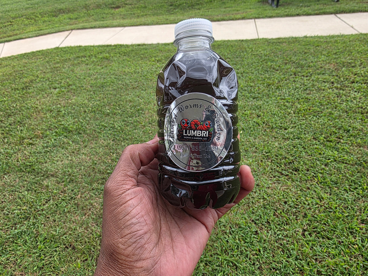 Freshly Brewed Worm Casting Tea with Recharge Microbes | Lumbri Worms & Garden LLC