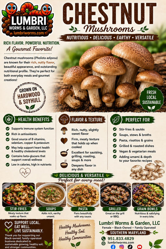 Dehydrated Chestnut Mushrooms