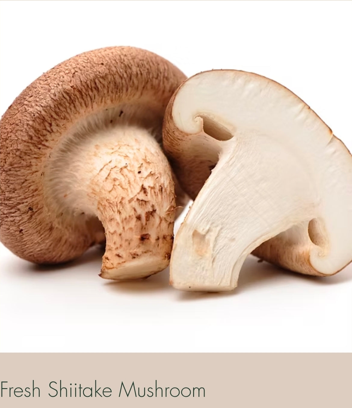 🍄 Fresh Gourmet Mushrooms Multi Pak (3) – Lion’s Mane, Shiitake & Oysters - LOCAL PICK UP ONLY