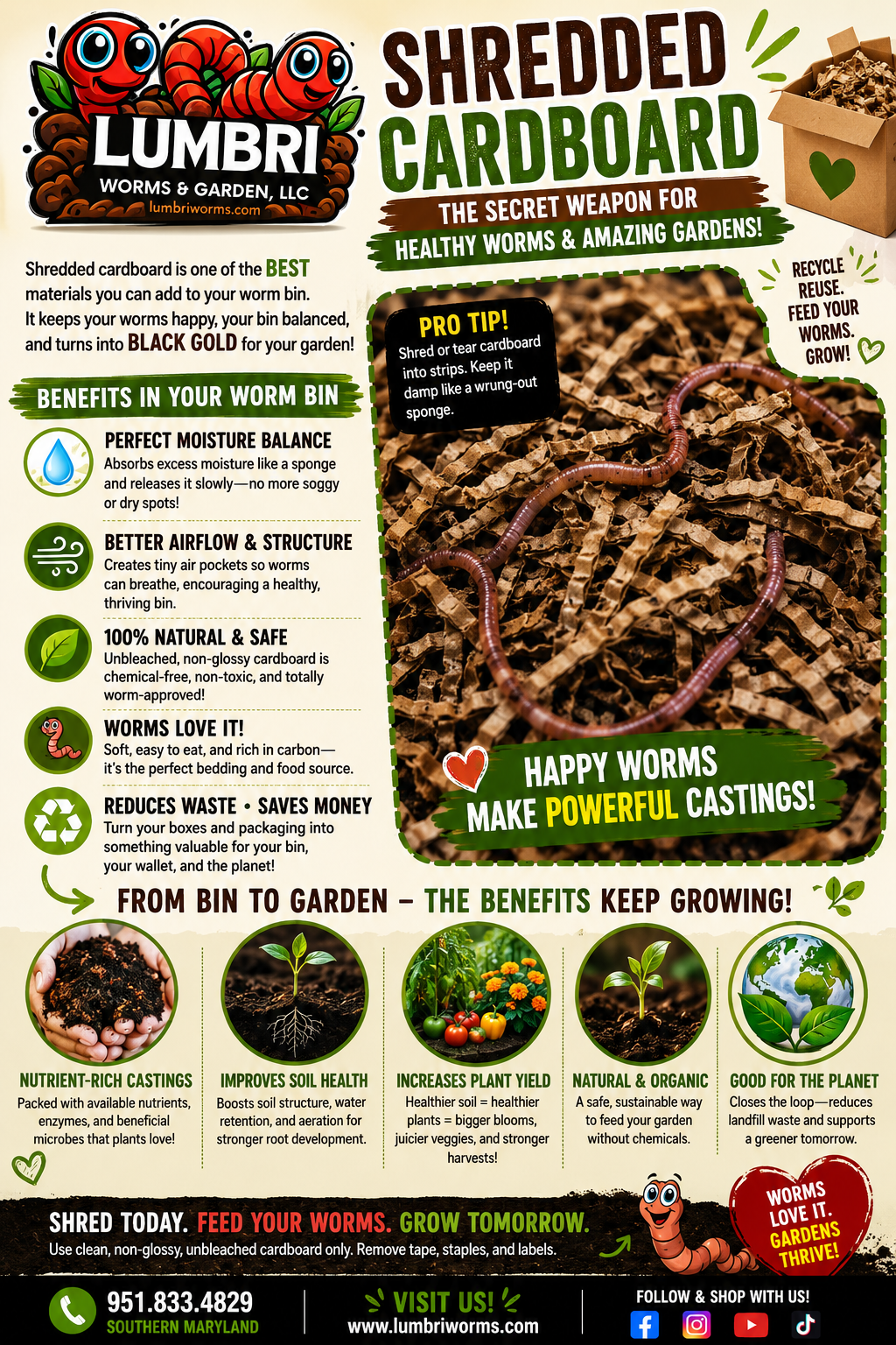 Vermicomposting Workshop | Learn Composting with Red Wigglers & European Nightcrawlers