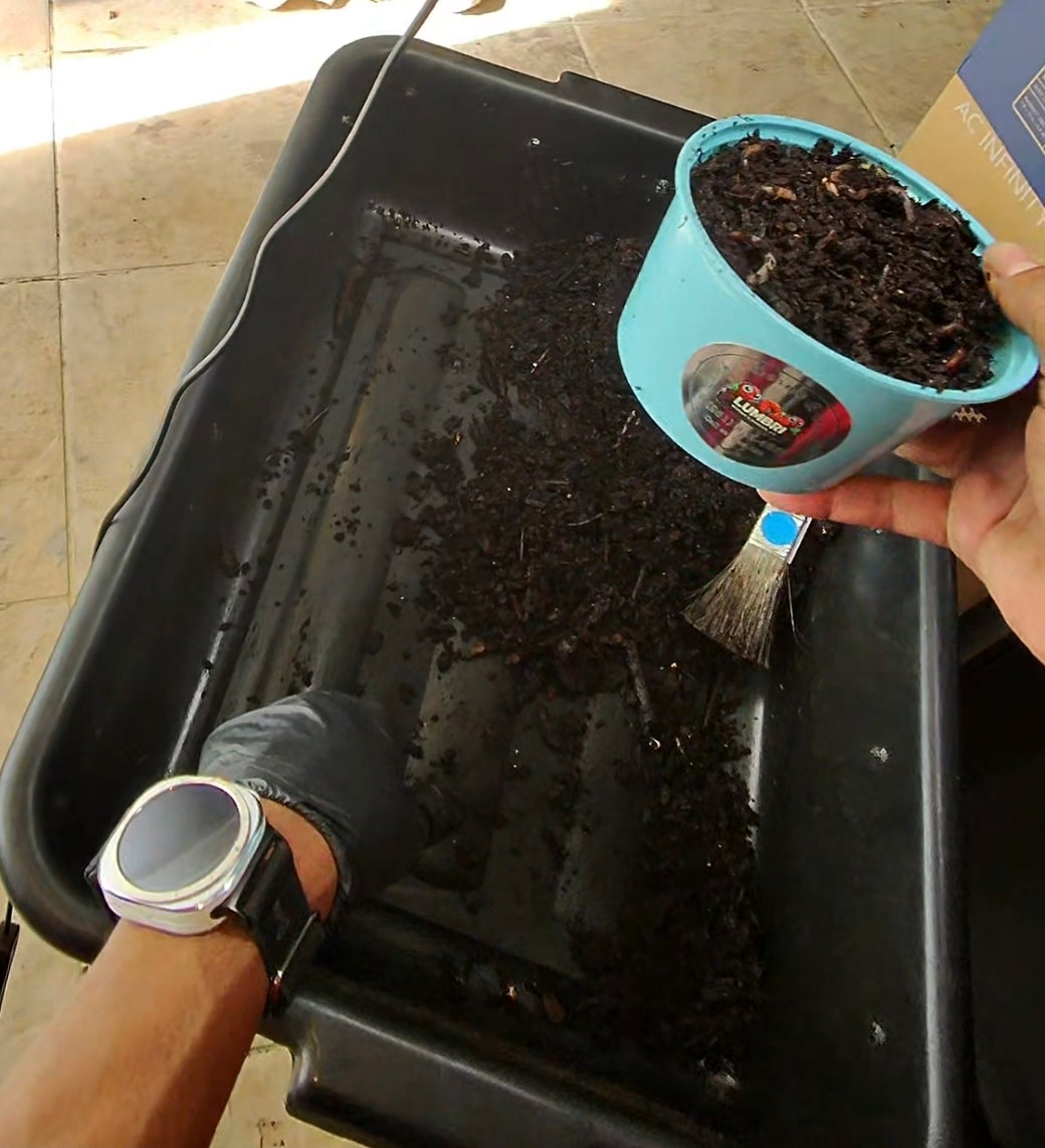 Worm Compost Bin In-Ground | Easy Vermicomposting System | BUY COMPOSTING WORMS