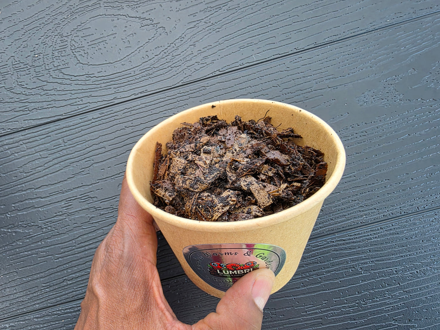 8 oz Worm Starter Colony | Red Wigglers or European Nightcrawlers | Live Composting Worms