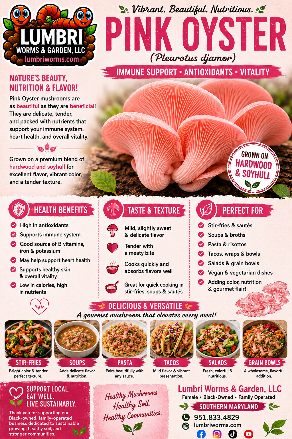 Pink Oyster Mushroom Growing Kit - 5 LBS Spray and Grow
