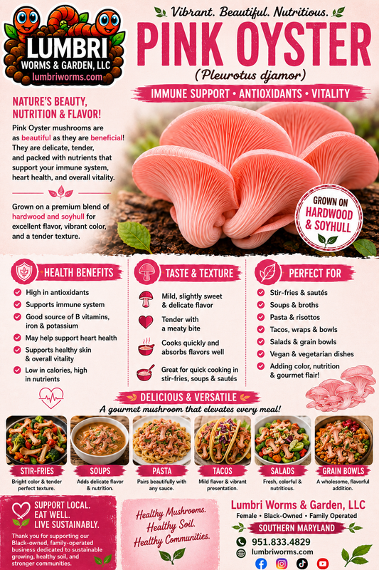 Pink Oyster Mushroom Growing Kit - 5 LBS Spray and Grow