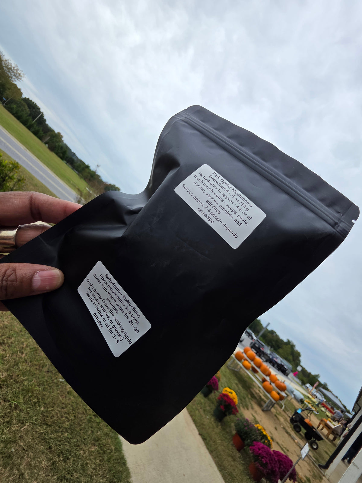 Dehydrated Pink Oyster Mushrooms | Farm-Grown Gourmet .5 oz / 14 g