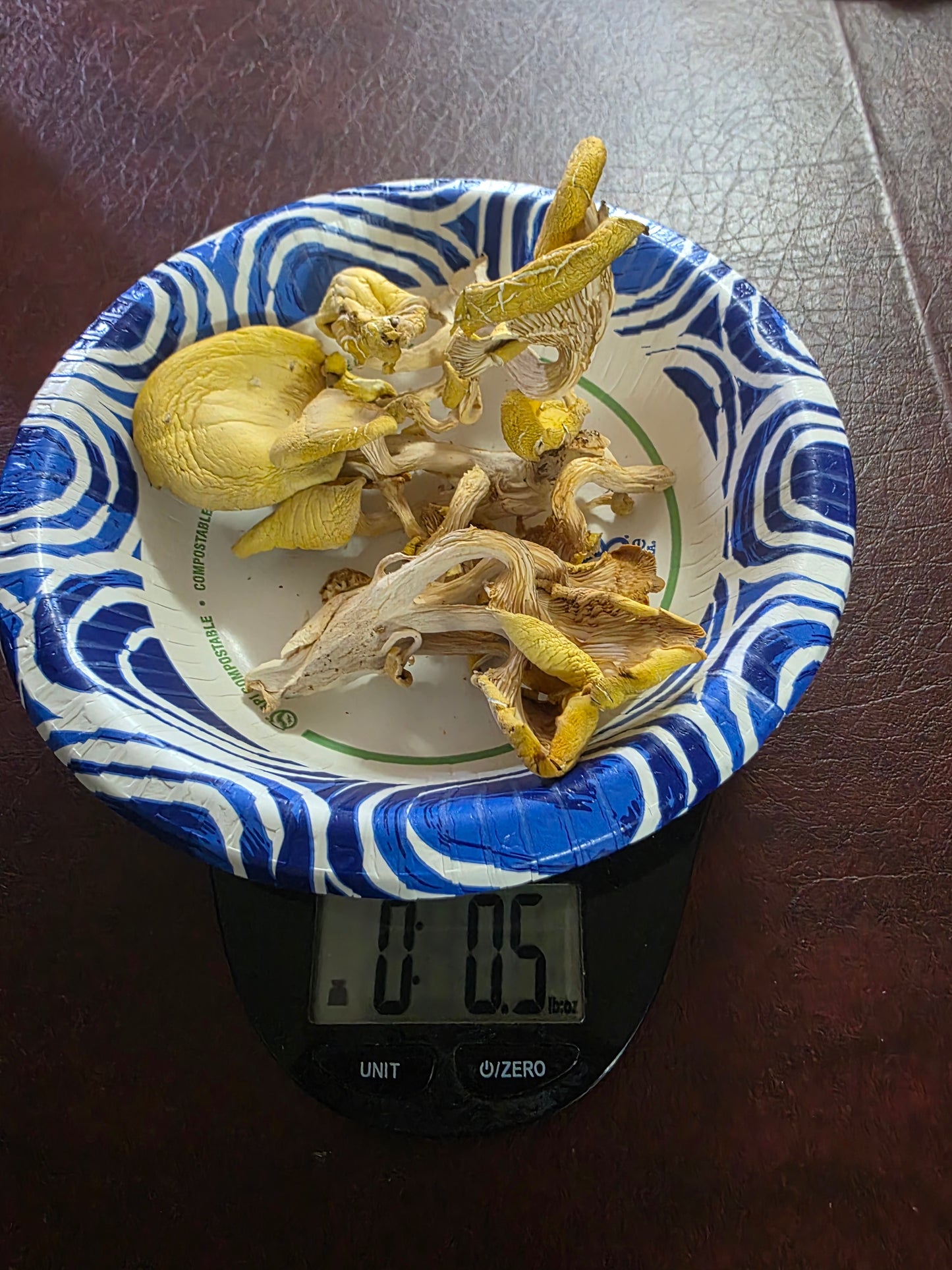 🍄 Fresh Golden Oyster Mushrooms – Bright & Nutty - Fresh Golden Oyster Mushrooms | Lumbri Worms & Garden - LOCAL PICK UP ONLY