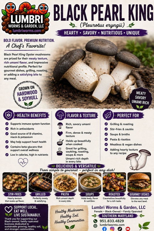 Dehydrated Black Pearl King Oyster Mushrooms .5 oz/14 g