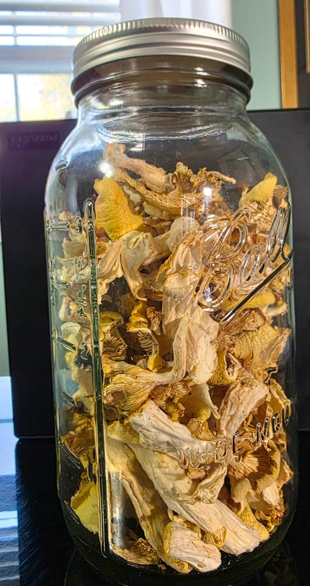 Dehydrated Golden Oyster Mushrooms .5 oz / 14 g