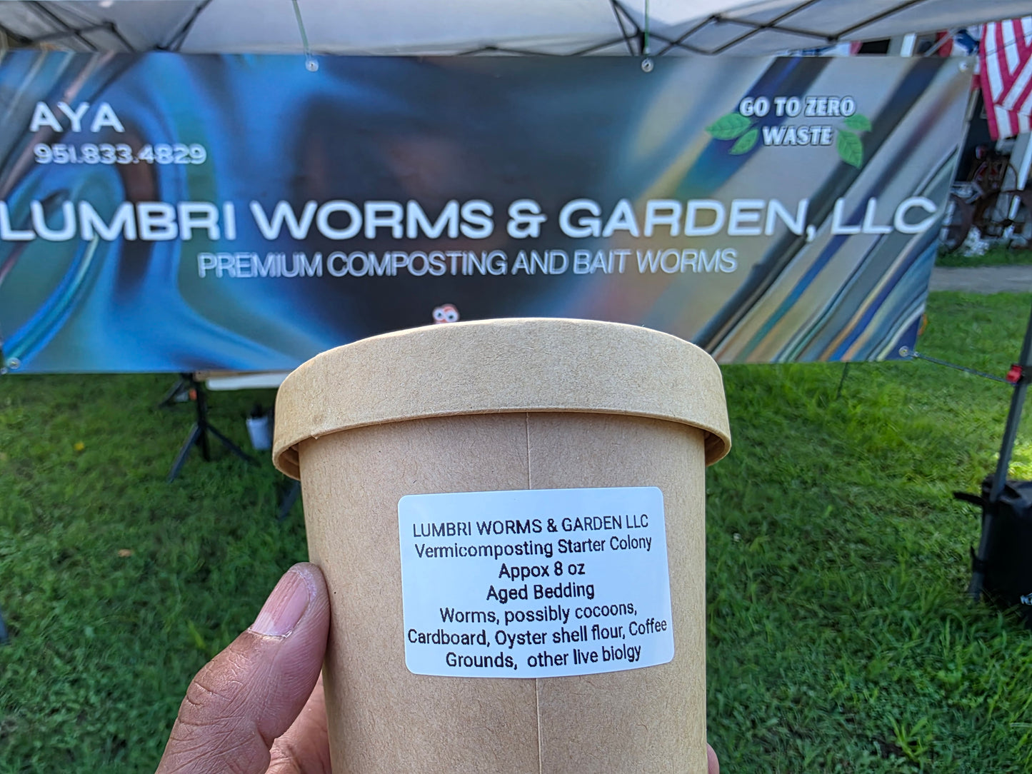 8 oz Worm Starter Colony | Red Wigglers or European Nightcrawlers | Live Composting Worms