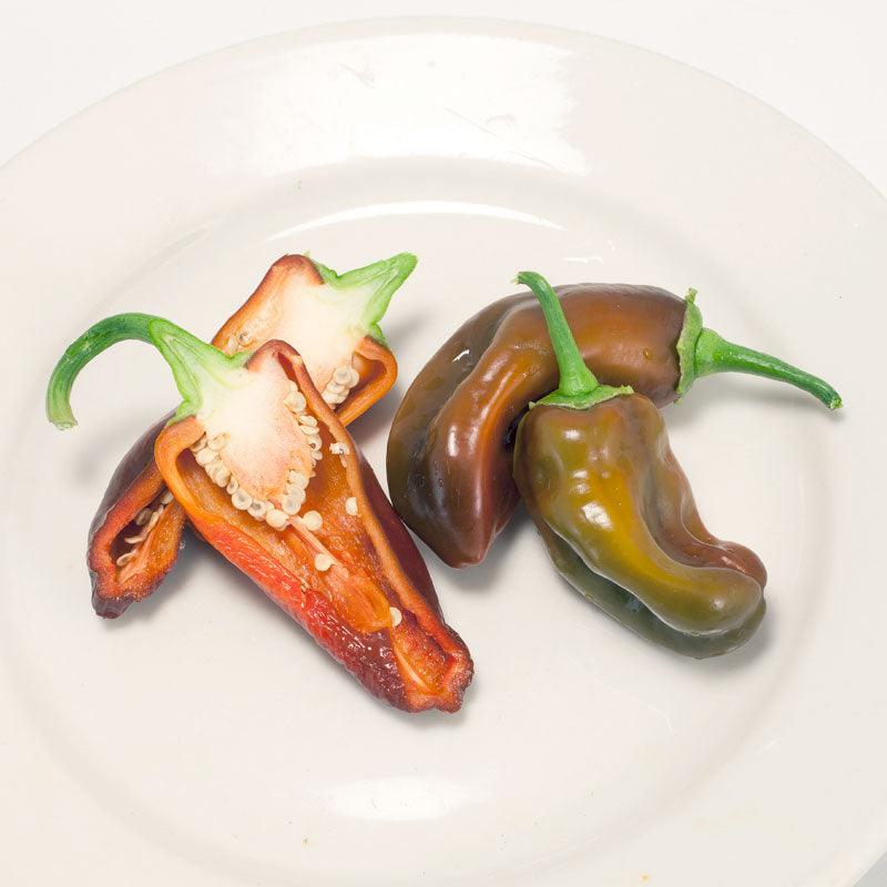 Chocolate Sweet Pepper Seeds (Organic)