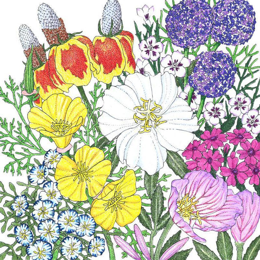 Southwest Wildflower Mix (1/4 lb)