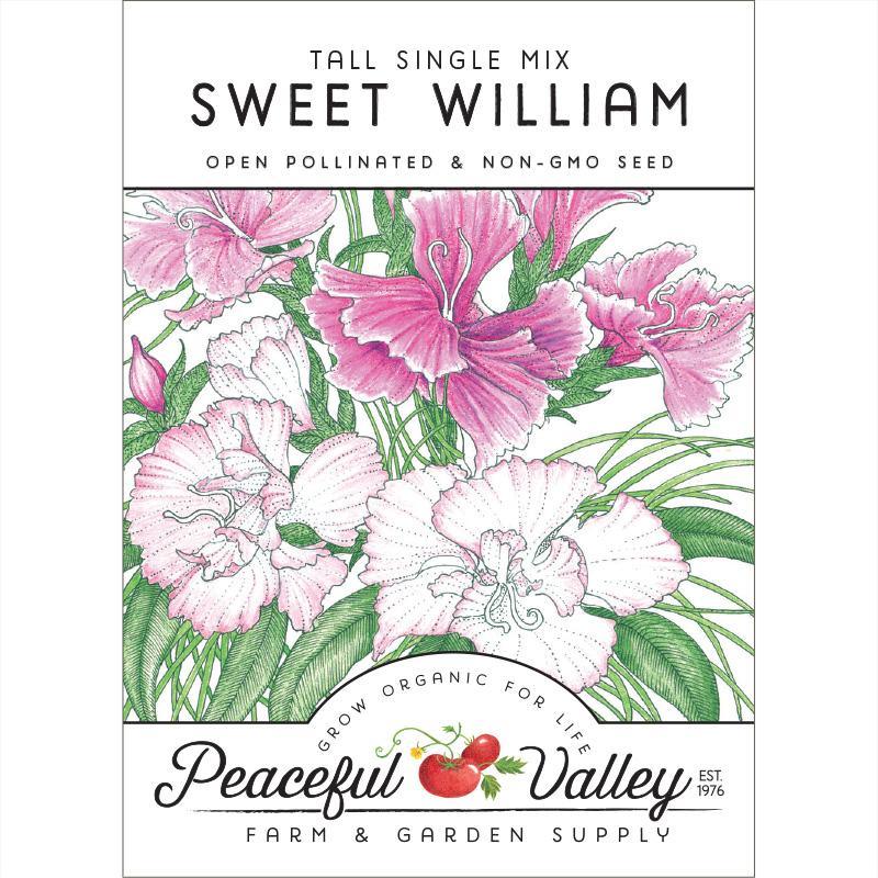 Sweet William (pack) – LUMBRI WORMS & GARDEN, LLC
