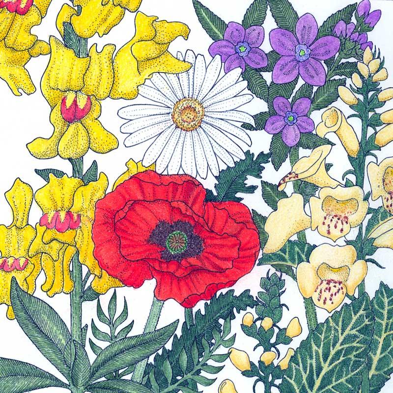 North American Shade Wildflower Mix (pack)