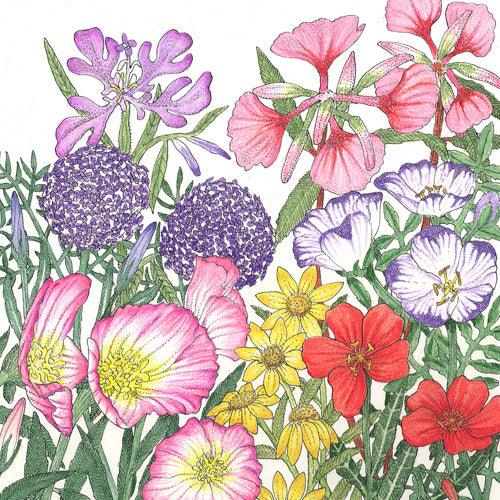 California Native Wildflower Mix (pack)