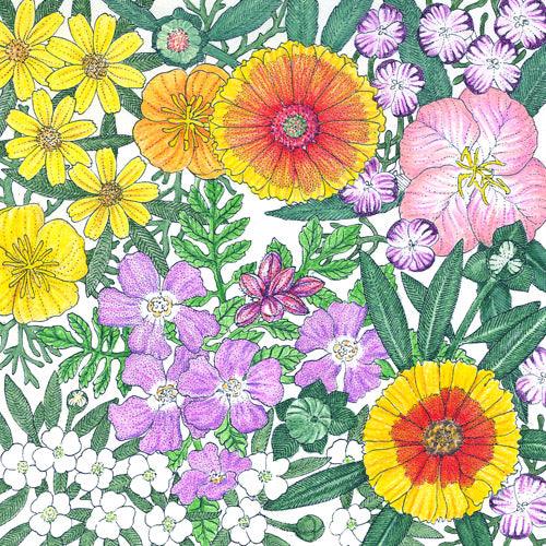 California Central Valley Wildflower Mix (pack)